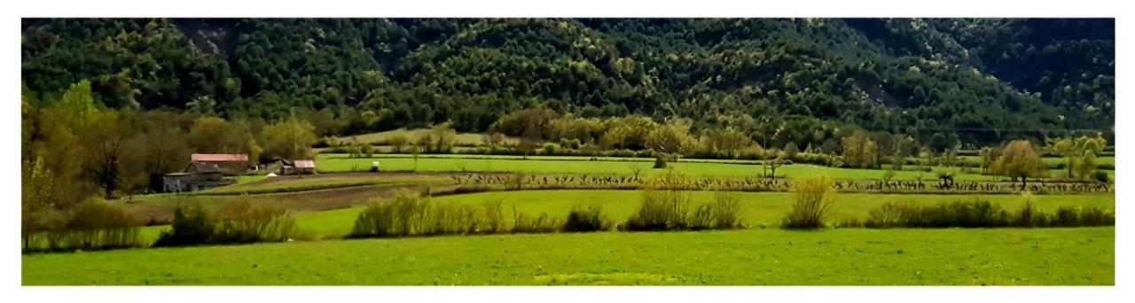 Apartamento Holidays In Ainsa Exterior photo